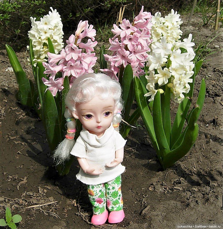 Гиацинт — Куклы Baboliy (Баболи (фото 3)