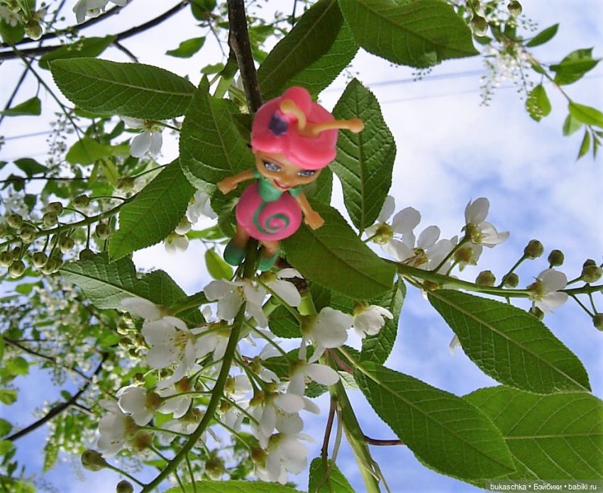 Небывалое | Бэйбики Небывалое — Другие мини