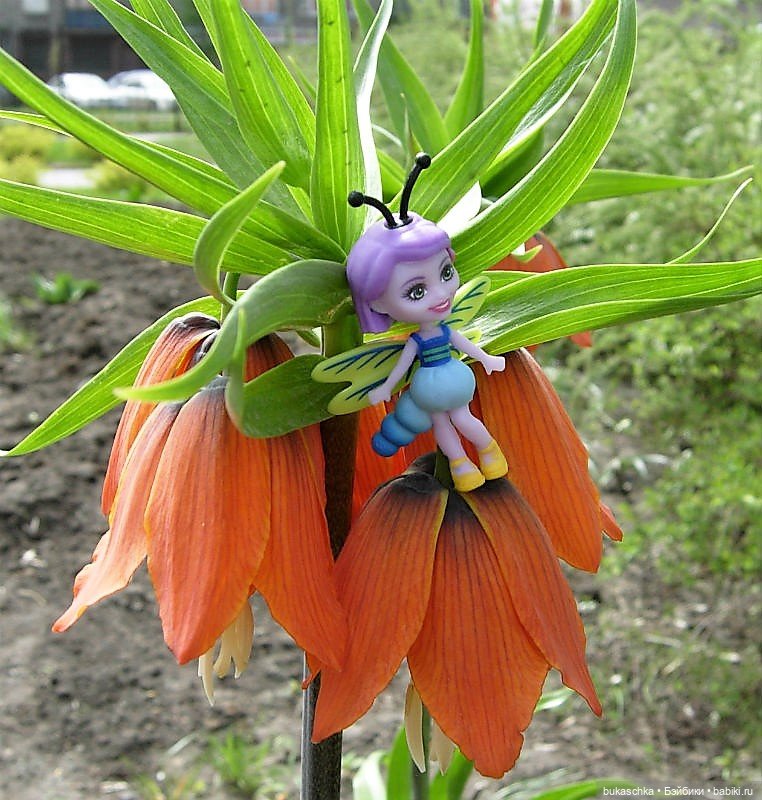 Небывалое | Бэйбики Небывалое — Другие мини (фото 5)