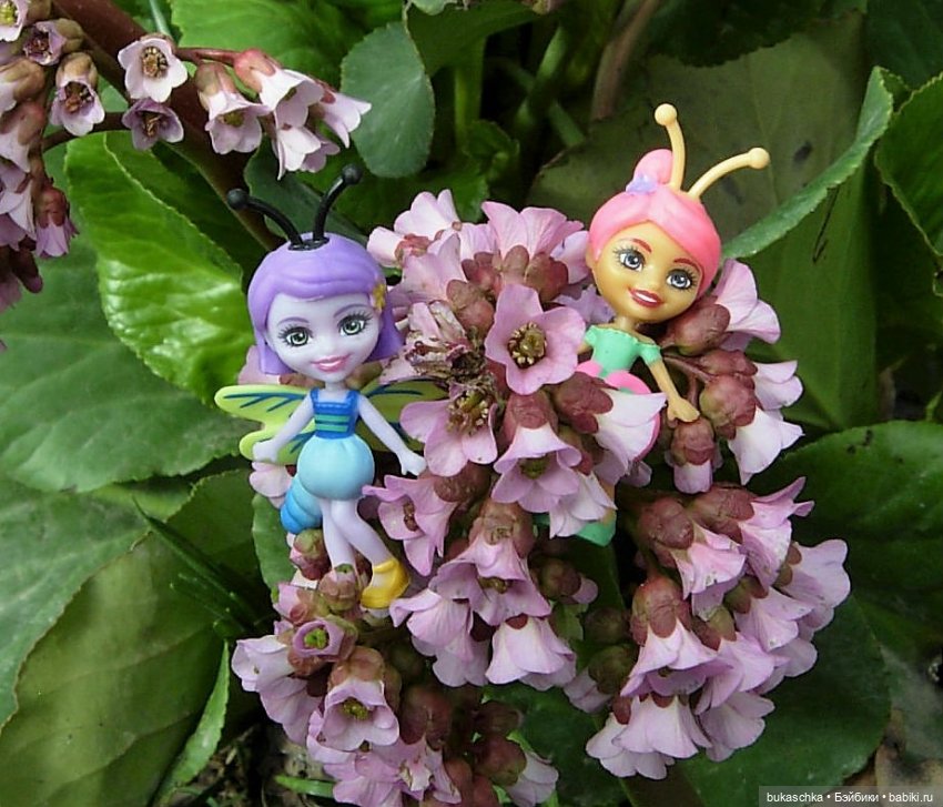 Небывалое | Бэйбики Небывалое — Другие мини