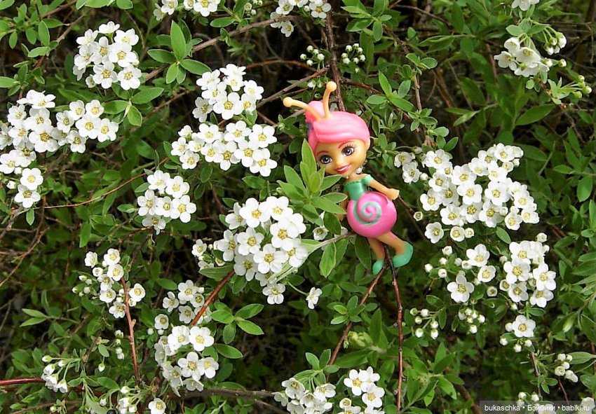 Небывалое | Бэйбики Небывалое — Другие мини (фото 7)