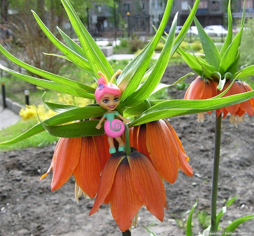 Небывалое | Бэйбики Небывалое — Другие мини (фото 4)