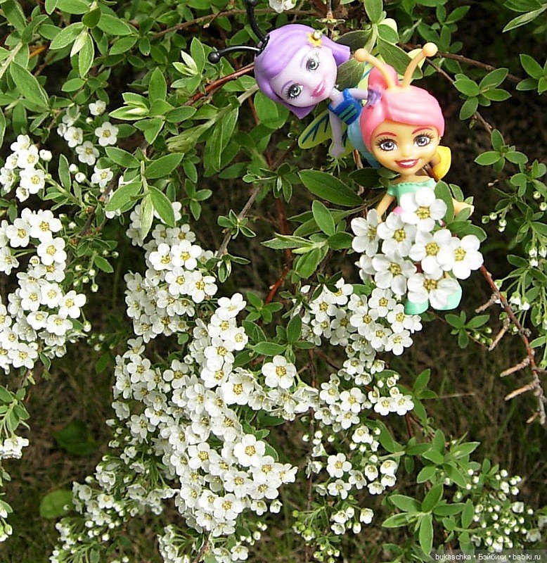 Небывалое | Бэйбики Небывалое — Другие мини (фото 8)