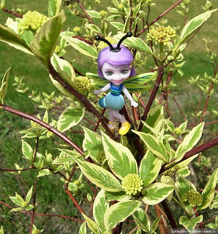 Небывалое | Бэйбики Небывалое — Другие мини (фото 9)