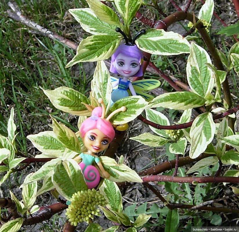 Небывалое | Бэйбики Небывалое — Другие мини (фото 10)