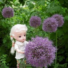 Горе ты мое луковое