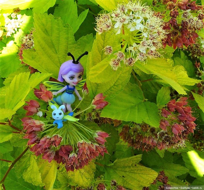 Как букашки на праздник фонариков собирались (фото 3)