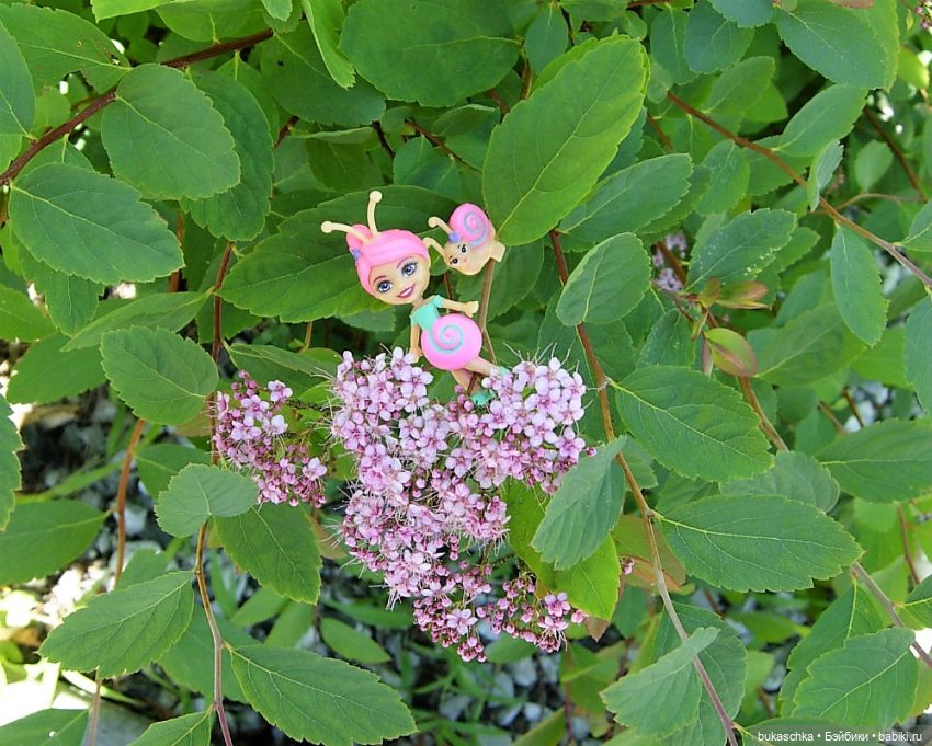 Как букашки на праздник фонариков собирались (фото 4)