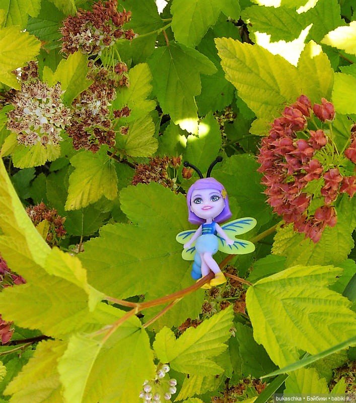 Как букашки на праздник фонариков собирались