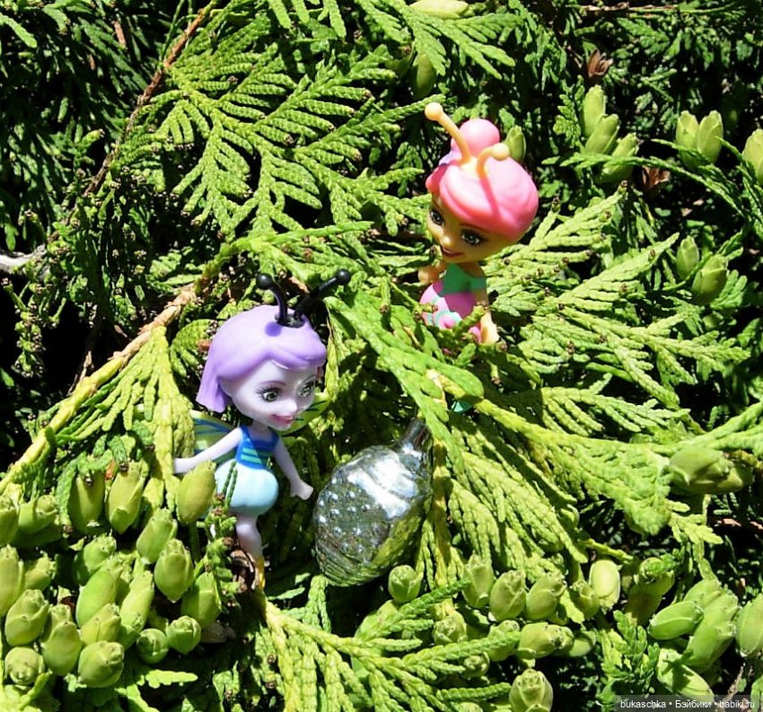 Как букашки на праздник фонариков собирались