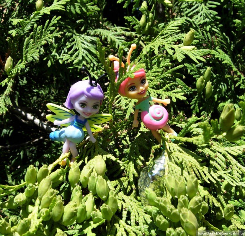 Как букашки на праздник фонариков собирались (фото 9)