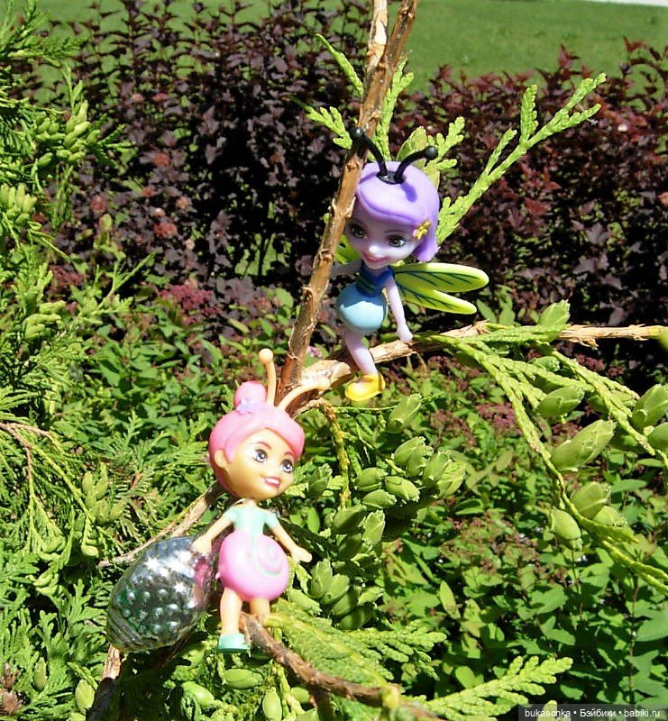 Как букашки на праздник фонариков собирались