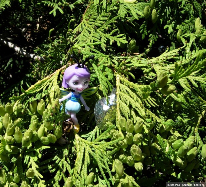 Как букашки на праздник фонариков собирались (фото 8)