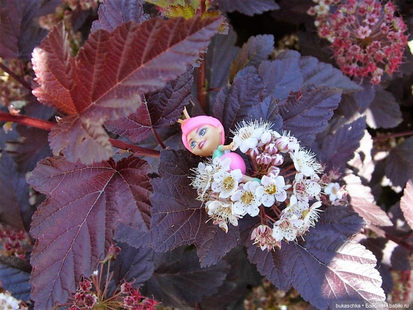 Как букашки на праздник фонариков собирались (фото 5)