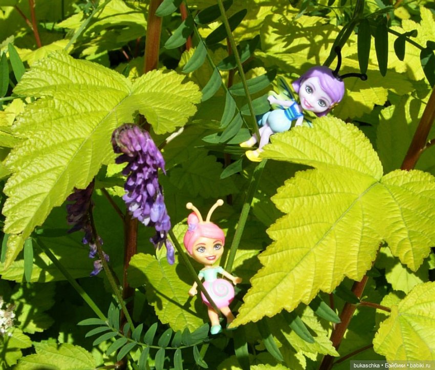 Как букашки на праздник фонариков собирались (фото 7)