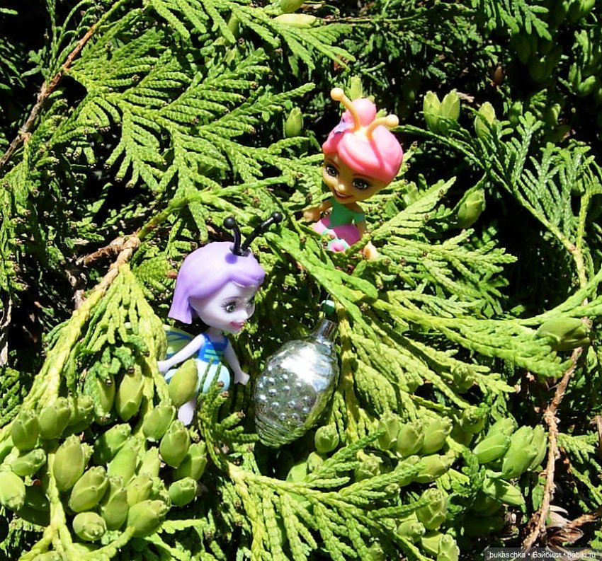 Как букашки на праздник фонариков собирались (фото 10)