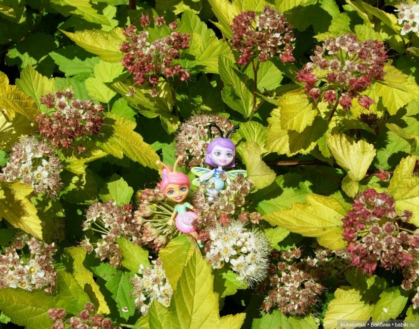 Как букашки на праздник фонариков собирались (фото 6)