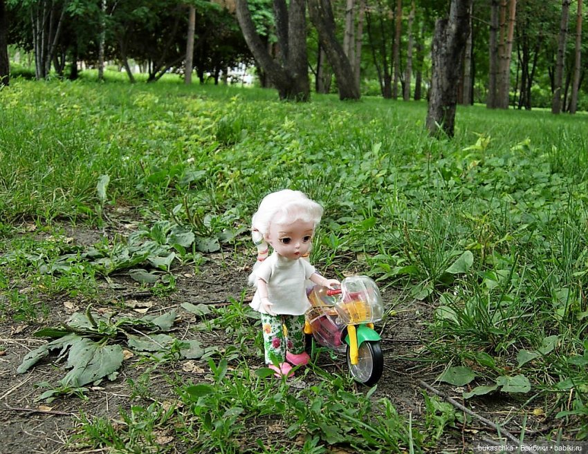 Седлайте "железного коня" и в путь (фото 9)