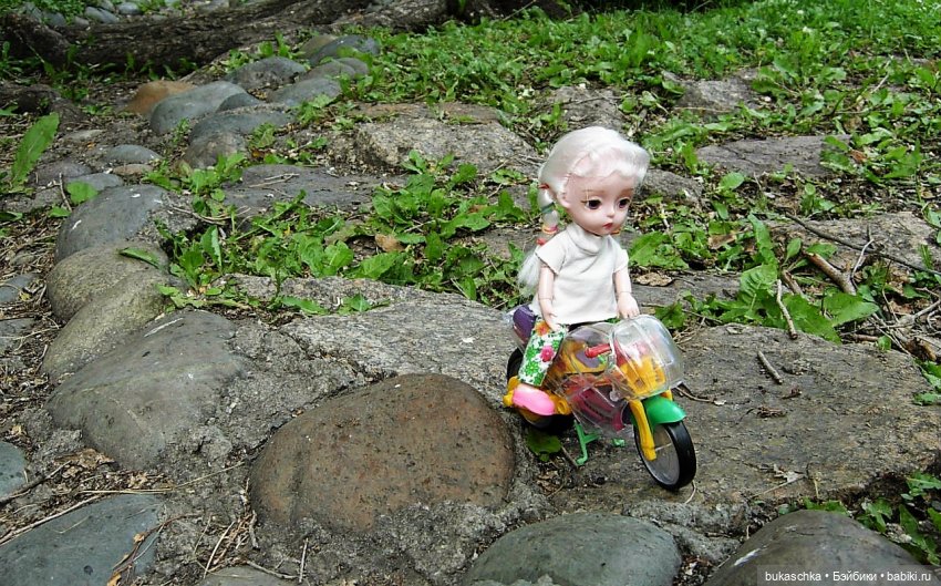 Седлайте "железного коня" и в путь (фото 7)