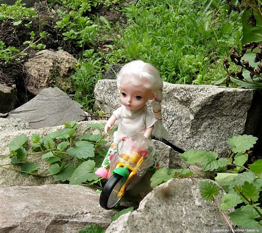 Седлайте "железного коня" и в путь (фото 5)