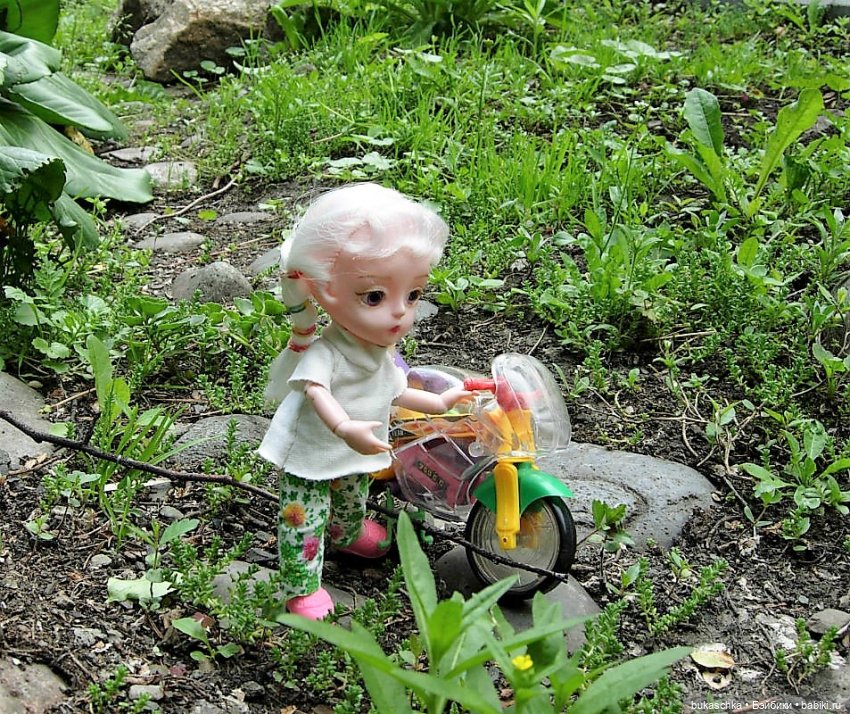 Седлайте "железного коня" и в путь (фото 2)