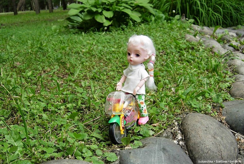 Седлайте "железного коня" и в путь (фото 8)