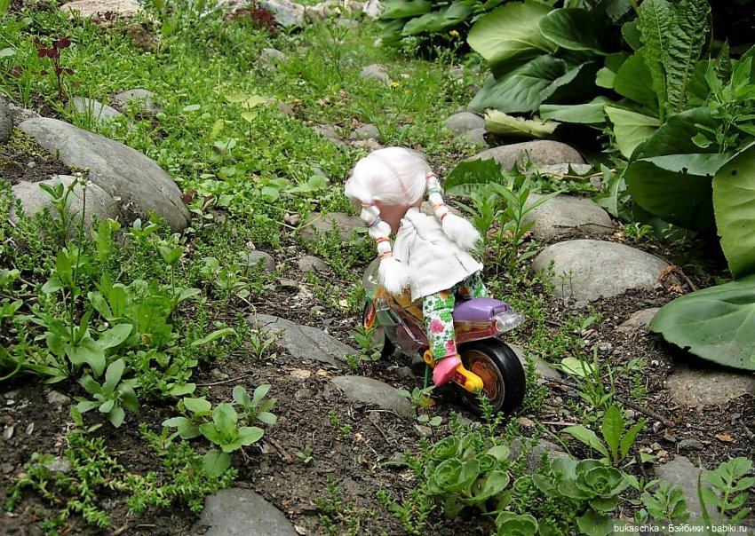 Седлайте "железного коня" и в путь (фото 4)