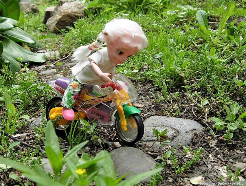 Седлайте "железного коня" и в путь (фото 3)