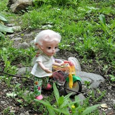 Седлайте "железного коня" и в путь