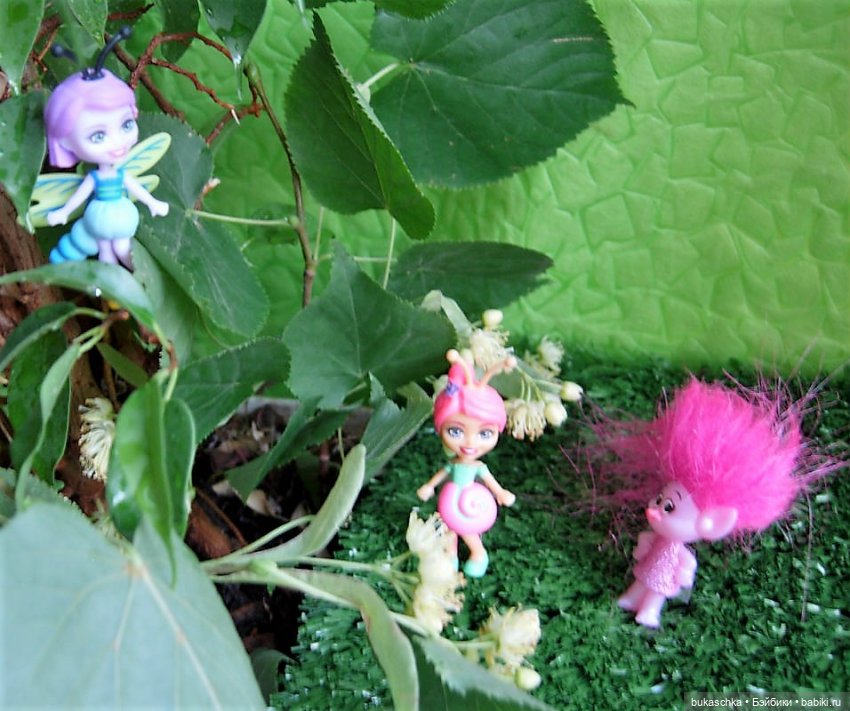 Как букашки липовый цвет собирали