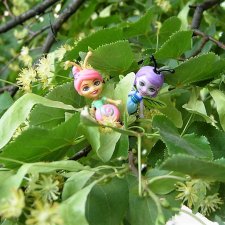 Как букашки липовый цвет собирали