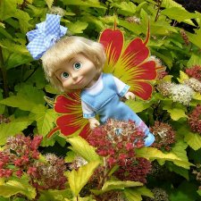 Прогулка феи