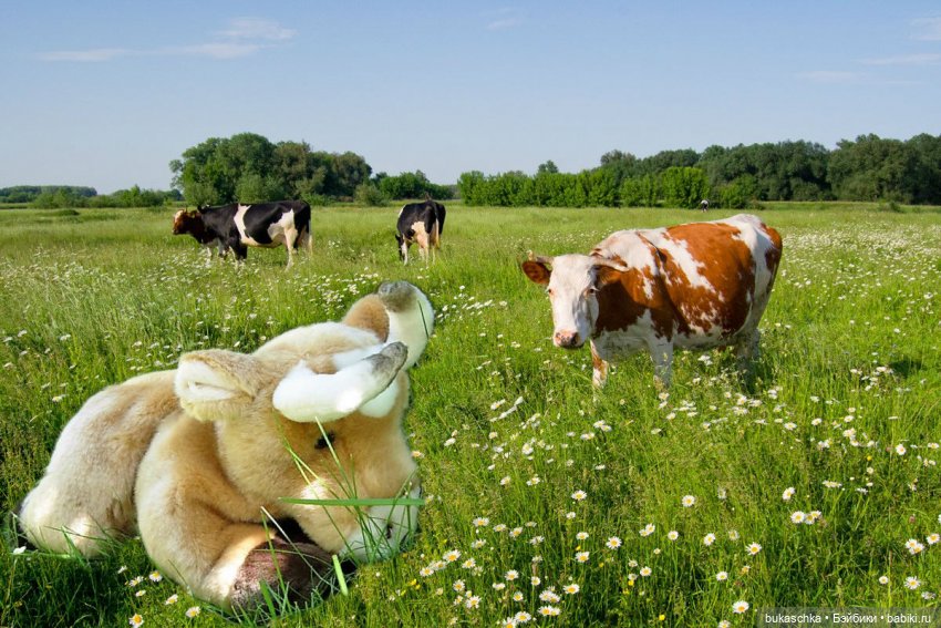 Пейте, дети, молоко - будете здоровы! "Миссис Бэйбики -2020"