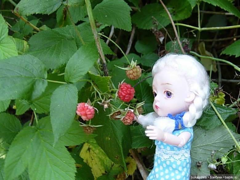 Пейте, дети, молоко - будете здоровы! "Миссис Бэйбики -2020" (фото 4)