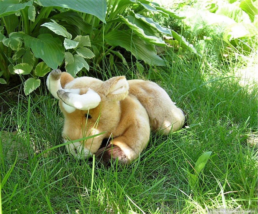 Пейте, дети, молоко - будете здоровы! "Миссис Бэйбики -2020" (фото 10)