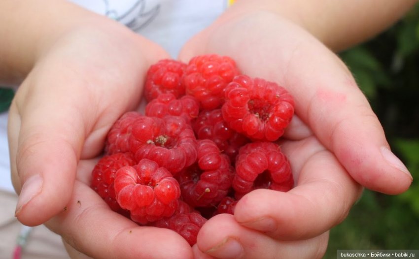 Пейте, дети, молоко - будете здоровы! "Миссис Бэйбики -2020" (фото 5)