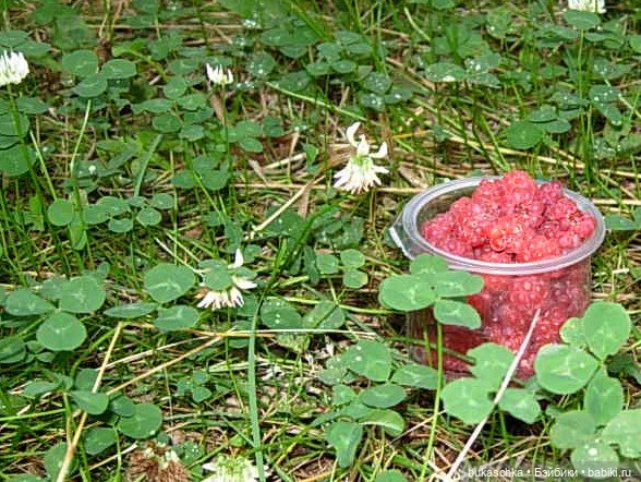 Пейте, дети, молоко - будете здоровы! "Миссис Бэйбики -2020" (фото 6)