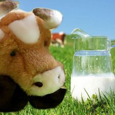 Пейте, дети, молоко - будете здоровы! "Миссис Бэйбики -2020"