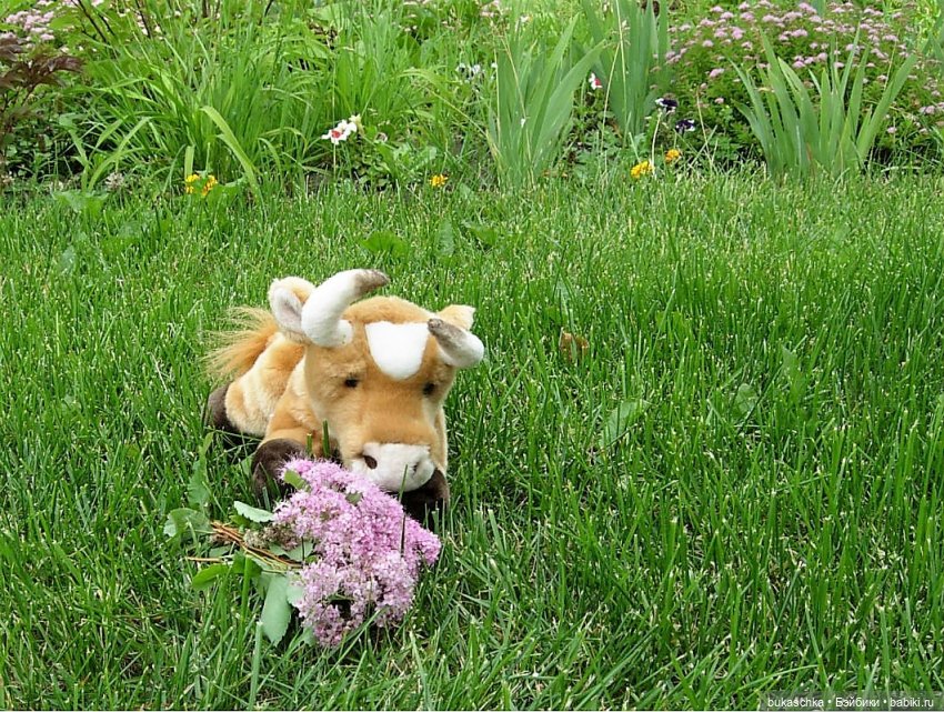 Белилицы, румяницы вы мои... "Миссис Бэйбики- 2020" (фото 7)