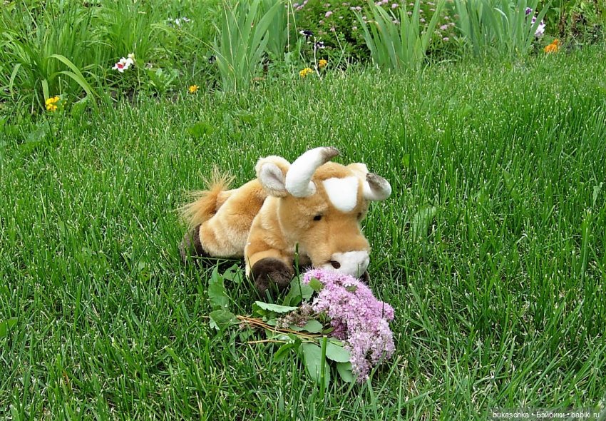 Белилицы, румяницы вы мои... "Миссис Бэйбики- 2020"