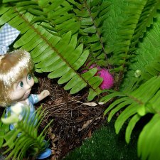 Как Машка на мандрагору охотилась