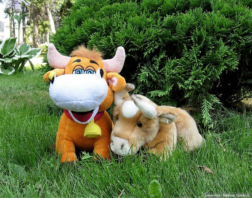 Минька и Гринька. "Миссис Бэйбики 2020"