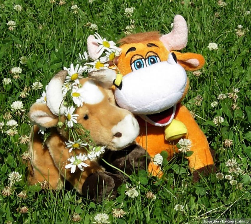 Минька и Гринька. "Миссис Бэйбики 2020"