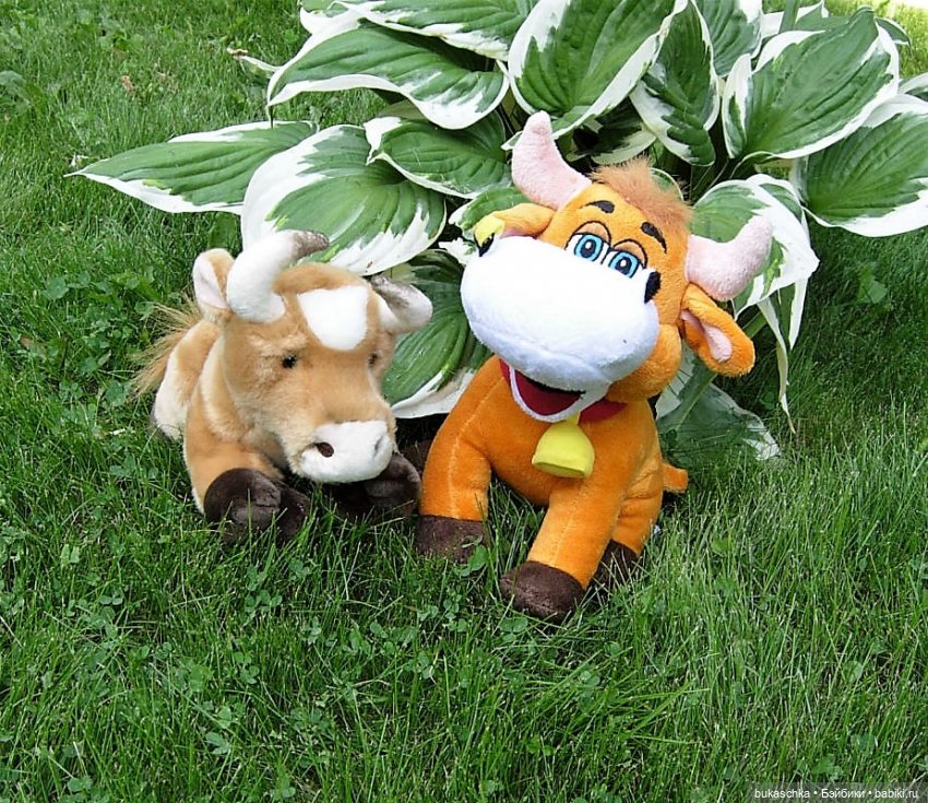 Минька и Гринька. "Миссис Бэйбики 2020"