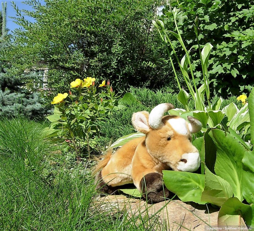 Шпионские игры. "Миссис Бэйбики 2020"