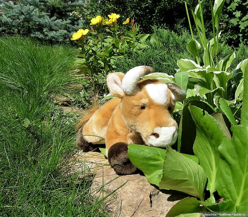 Шпионские игры. "Миссис Бэйбики 2020"