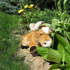 Шпионские игры. "Миссис Бэйбики 2020"