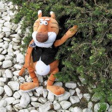 Тигр на прогулке