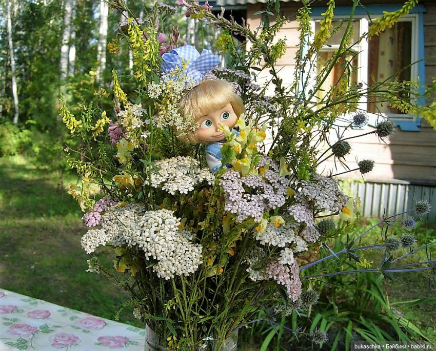 Машка на отдыхе. Зайка моя