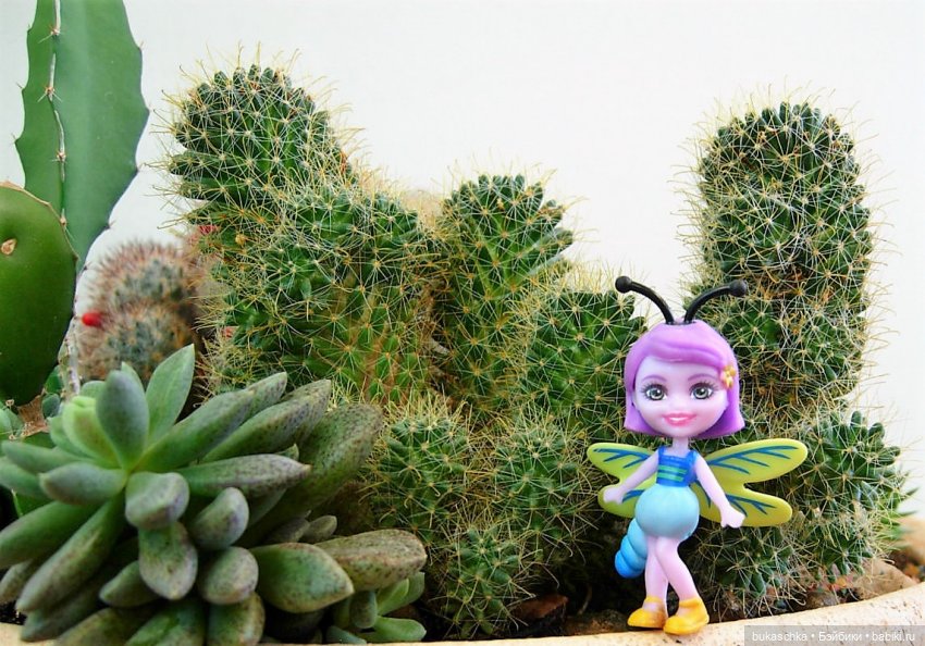 Букашки в новогоднем лесу (фото 3)